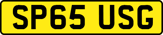 SP65USG