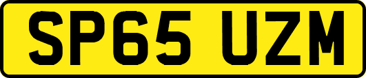 SP65UZM