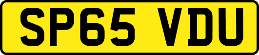 SP65VDU
