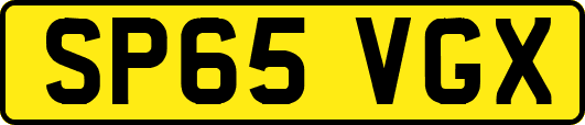 SP65VGX
