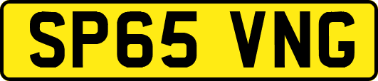 SP65VNG