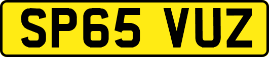 SP65VUZ