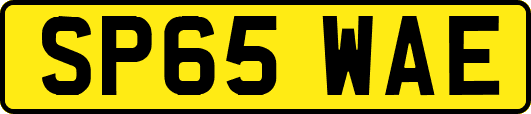 SP65WAE
