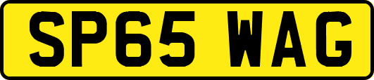 SP65WAG