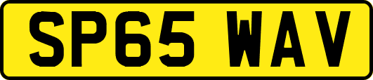 SP65WAV