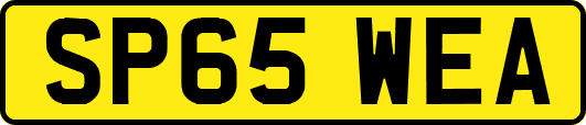 SP65WEA