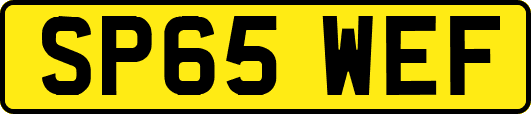 SP65WEF