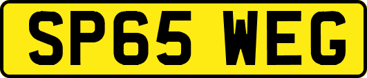 SP65WEG