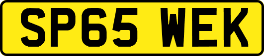 SP65WEK