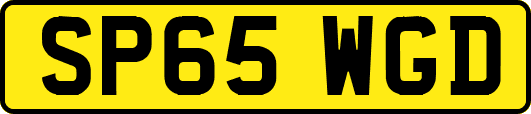 SP65WGD