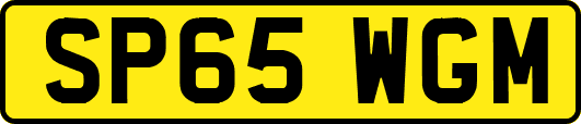 SP65WGM