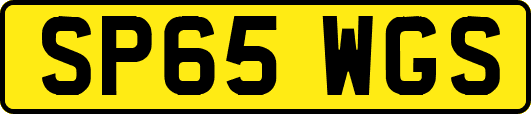 SP65WGS