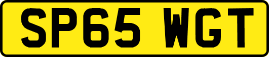 SP65WGT