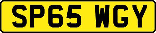 SP65WGY