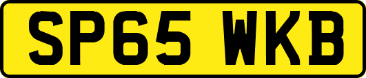 SP65WKB