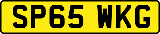 SP65WKG