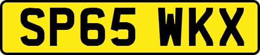 SP65WKX