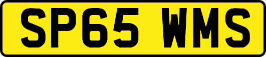 SP65WMS