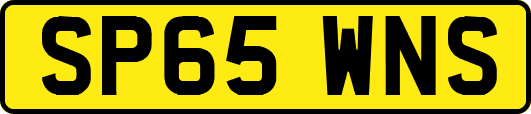 SP65WNS
