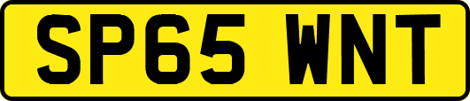 SP65WNT