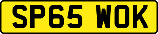 SP65WOK