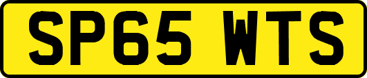 SP65WTS