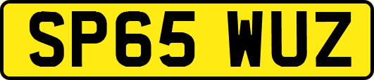 SP65WUZ