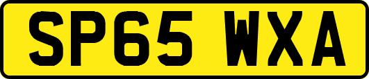 SP65WXA