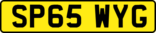 SP65WYG