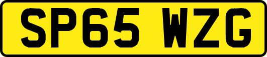 SP65WZG