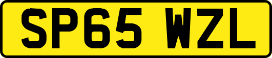 SP65WZL