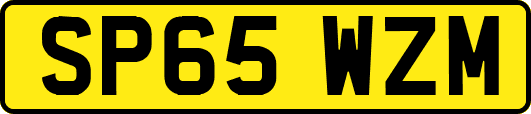 SP65WZM
