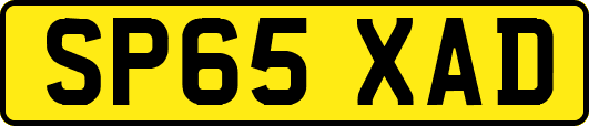 SP65XAD