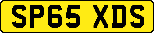 SP65XDS