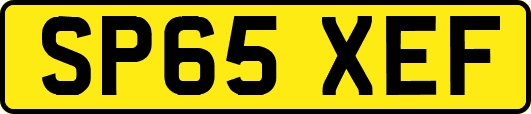 SP65XEF