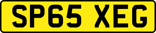 SP65XEG