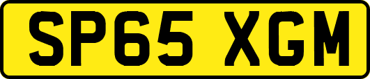 SP65XGM