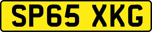 SP65XKG
