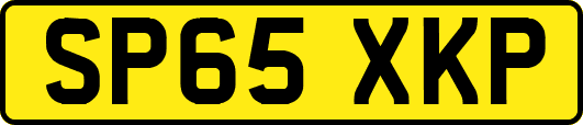 SP65XKP