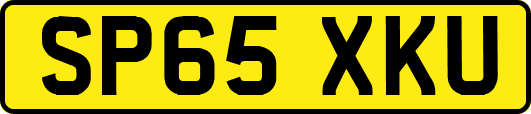 SP65XKU