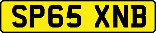 SP65XNB