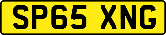 SP65XNG