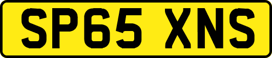 SP65XNS