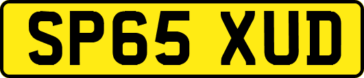SP65XUD