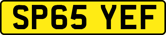 SP65YEF