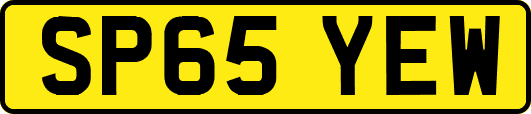 SP65YEW
