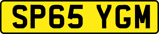 SP65YGM