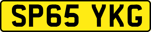 SP65YKG
