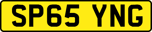SP65YNG