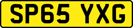 SP65YXG